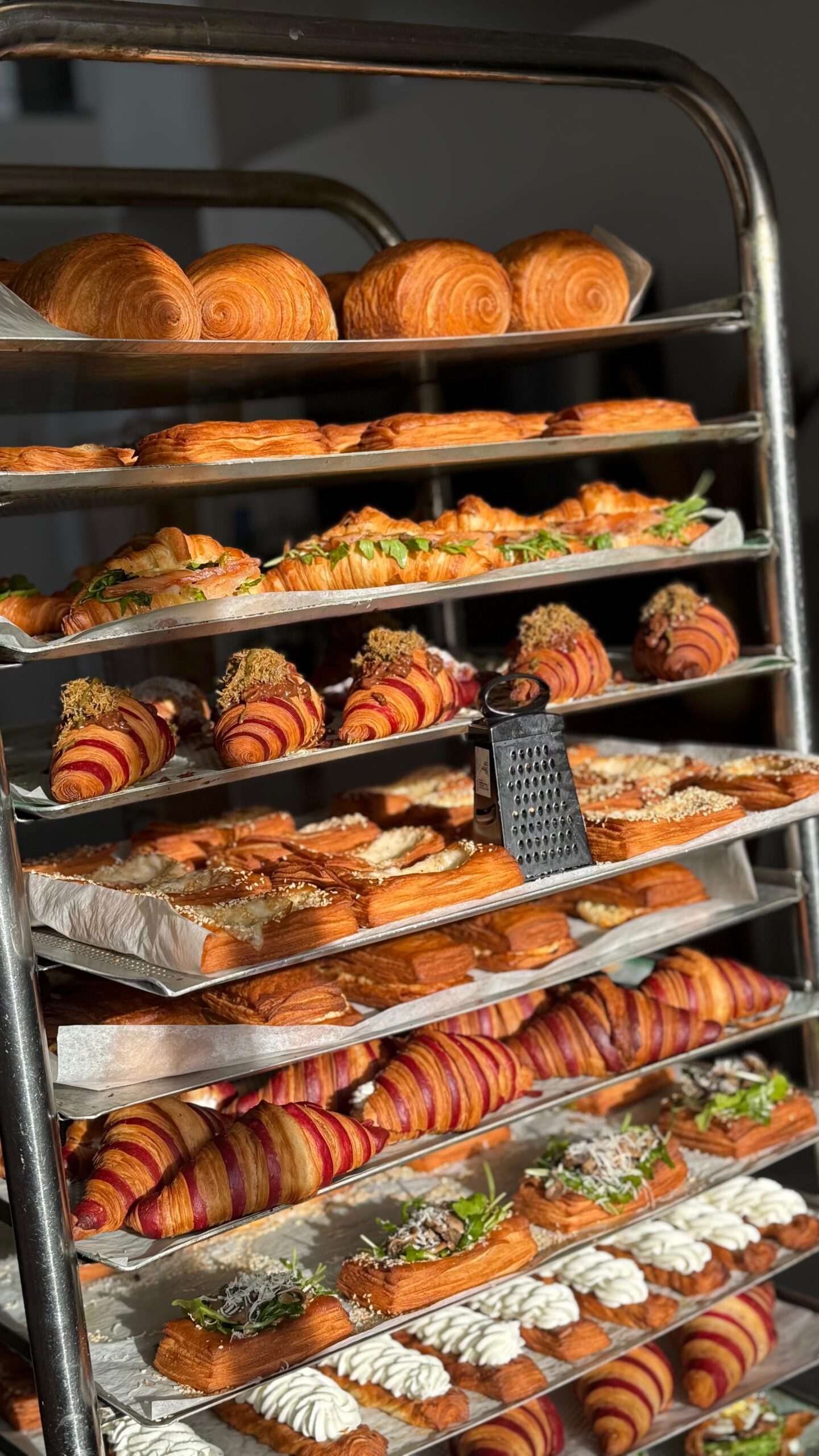 WhatsApp Image 2026-03-11 at 11.38.27 (4)