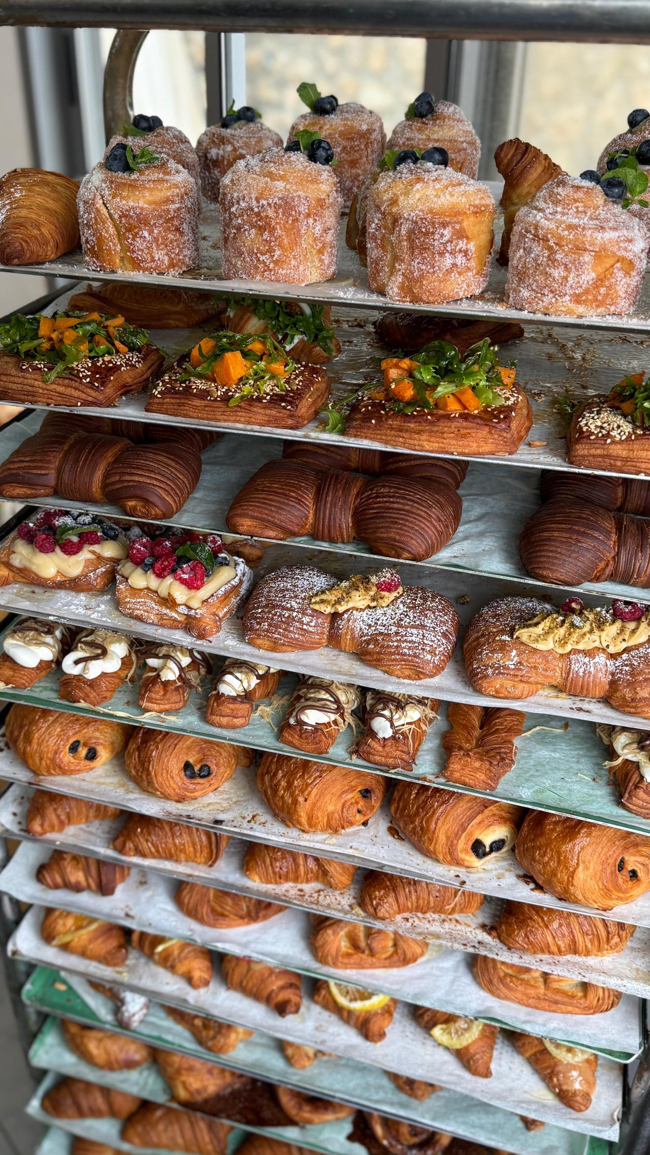 WhatsApp Image 2026-03-11 at 11.38.28 (1)