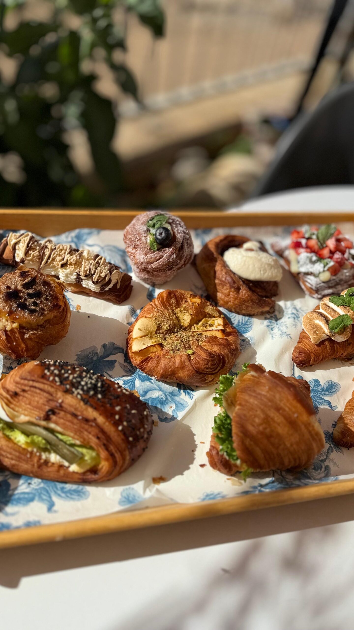 WhatsApp Image 2026-03-11 at 11.38.28 (7)