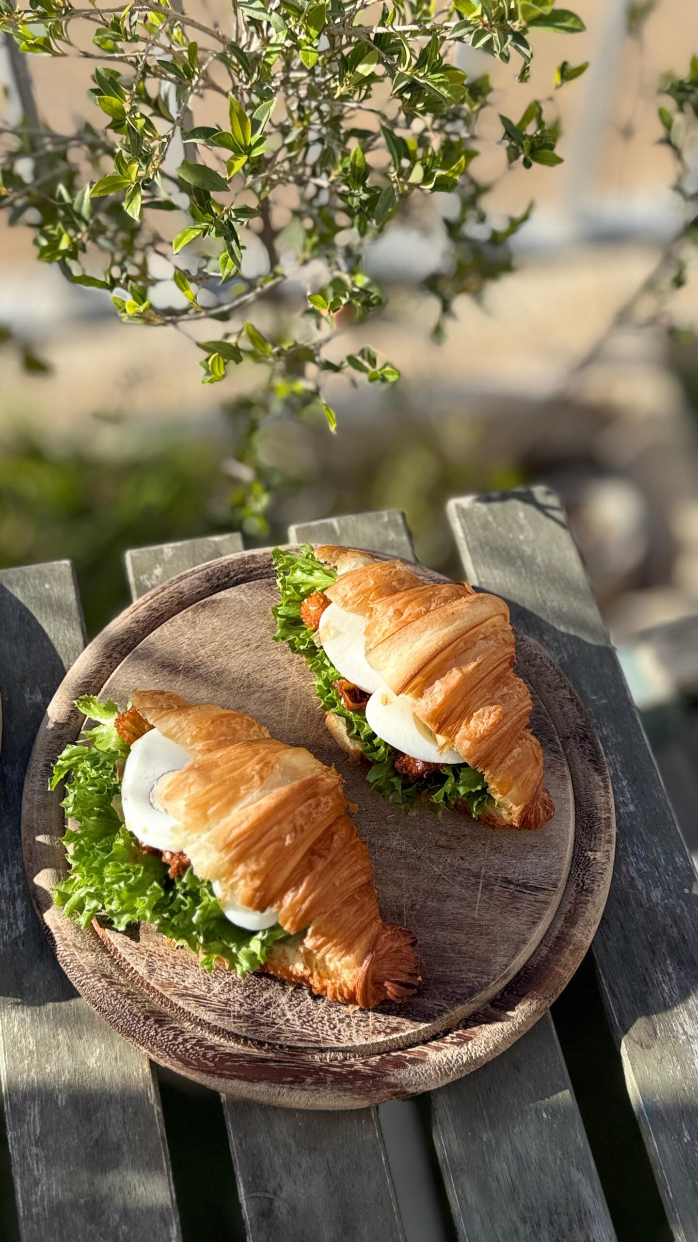 WhatsApp Image 2026-03-11 at 11.38.28 (8)