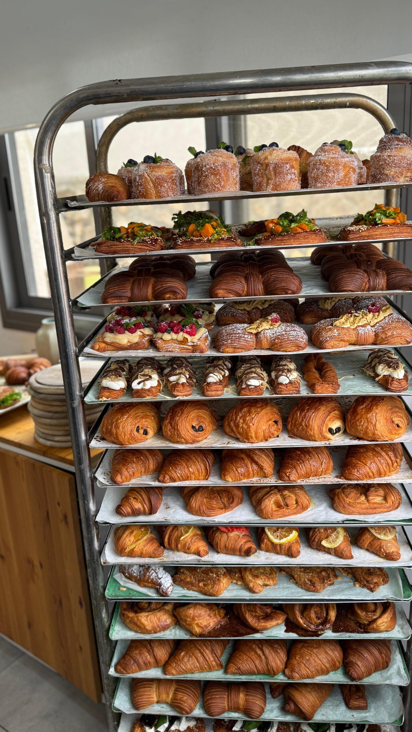 WhatsApp Image 2026-03-11 at 11.38.28